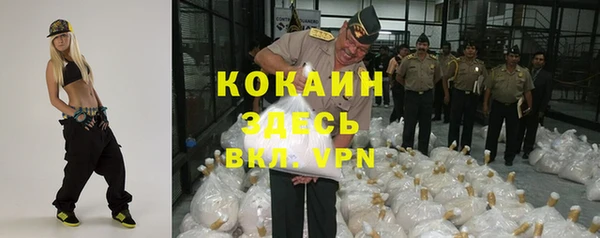 прущая мука Новодвинск