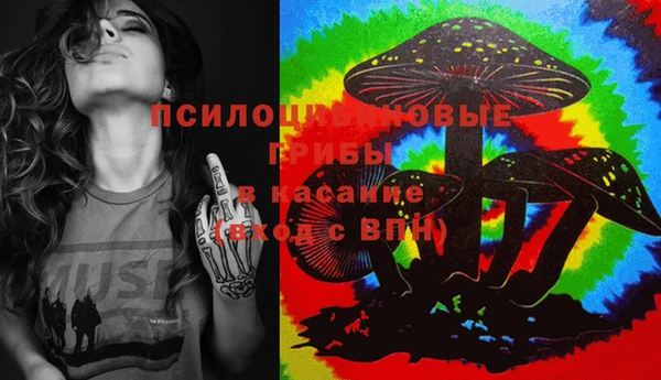 прущая мука Новодвинск