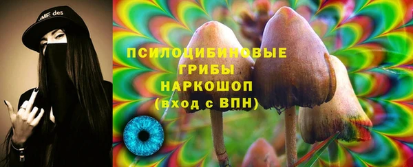 дурь Новокубанск