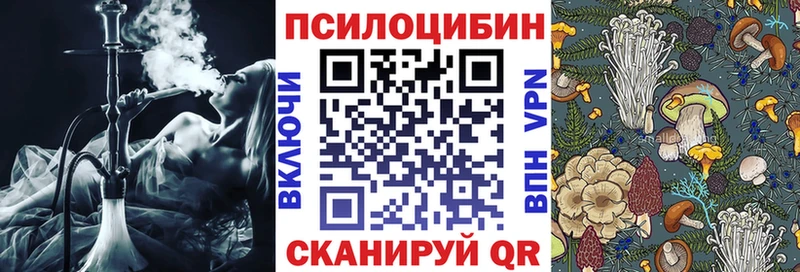 Галлюциногенные грибы Psilocybe  закладка  Александровск-Сахалинский 